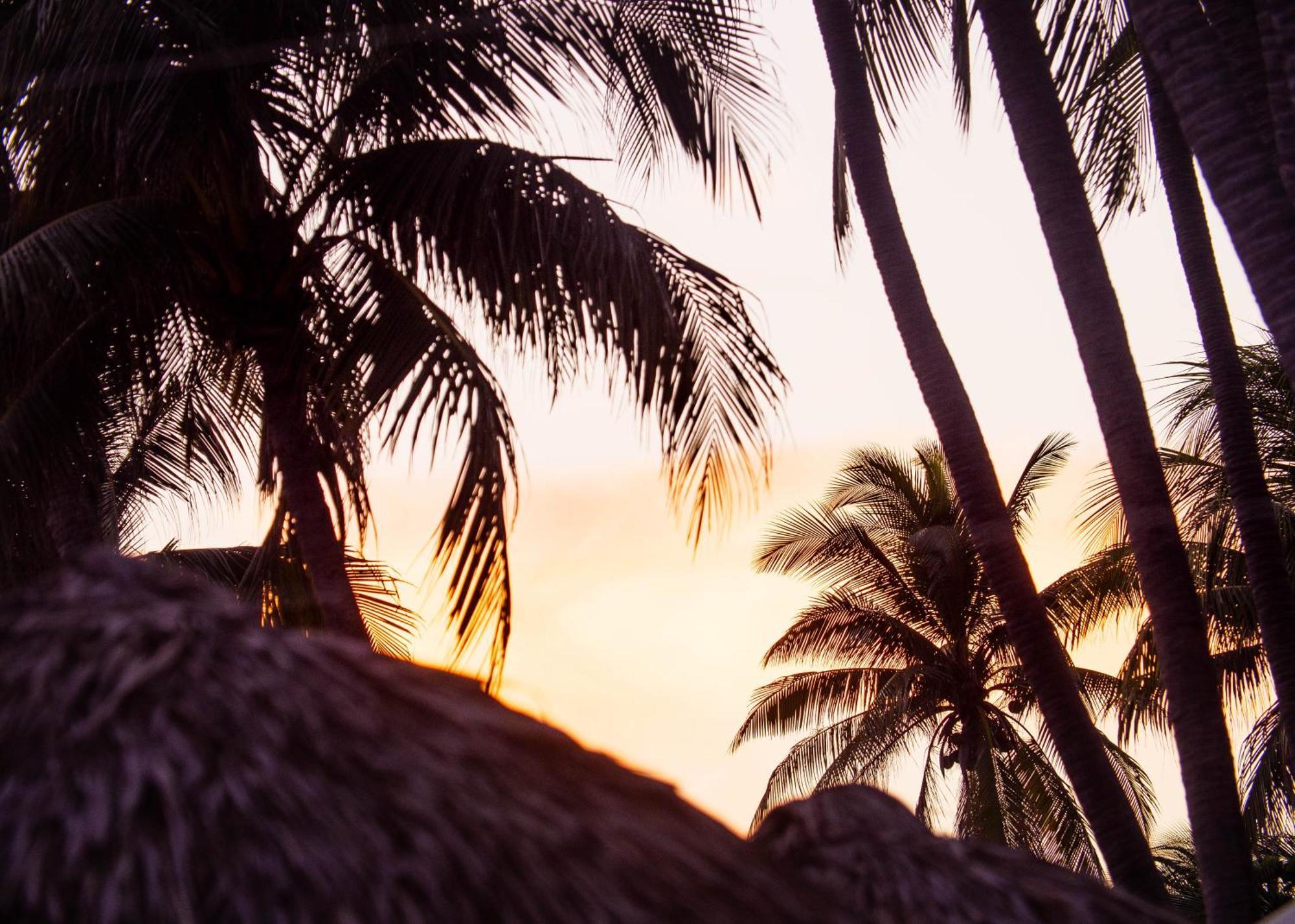 Almare Zonte - Beachfront Glamping Hotel El Zonte Luaran gambar